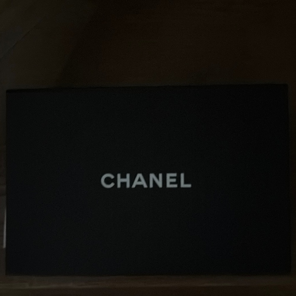 CHANEL BOY BAG